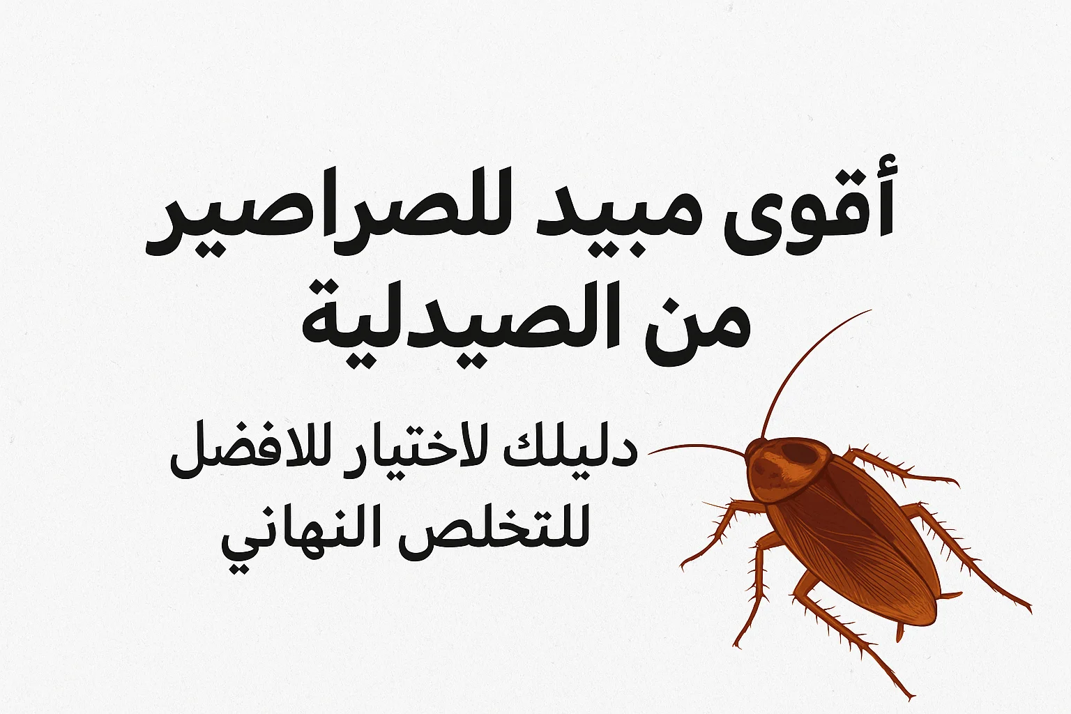 أقوى مبيد للصراصير من الصيدلية