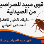 أقوى مبيد للصراصير من الصيدلية